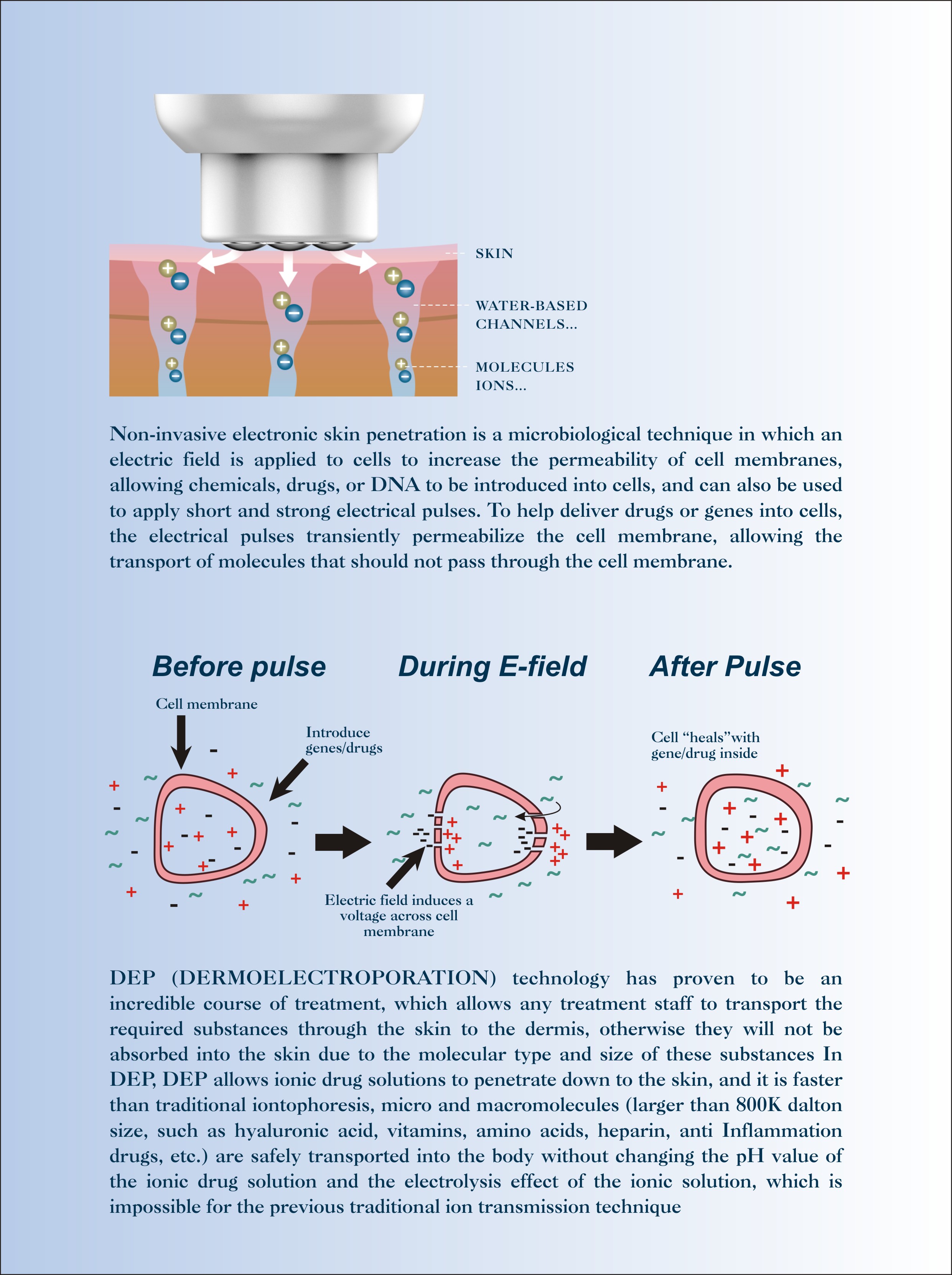 EMS Electroporation Skin Care Product Penetration Machine-5.jpg